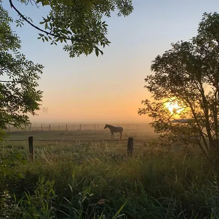 Apartment Maxe Fehmarn